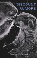 Discount Rumors: Stories and More B0CPFNSV4S Book Cover