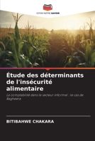 Étude des déterminants de l'insécurité alimentaire: La comptabilité dans le secteur informel : le cas de Bagheera (French Edition) 6208689015 Book Cover