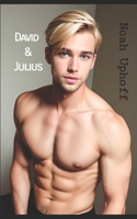 David und Julius: Gay Romance Thriller 1071072684 Book Cover