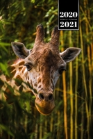 Giraffe Safari Week Planner Weekly Organizer Calendar 2020 / 2021 - From the Jungle: Cute Wildlife Animal Pet Bullet Journal Notebook Diary in 6” x 9” Inch Pocket Size 167586005X Book Cover
