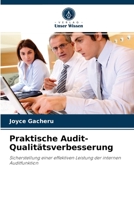 Praktische Audit-Qualitätsverbesserung: Sicherstellung einer effektiven Leistung der internen Auditfunktion 6204068091 Book Cover
