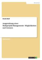 Leitfaden f�r die Umsetzung von Multiprojekt-Management. M�glichkeiten und Grenzen. 3640903587 Book Cover