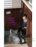 I Wonder Where Kyle is 0692690107 Book Cover