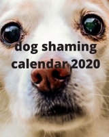 dog shaming Calendar 2020 1673279287 Book Cover