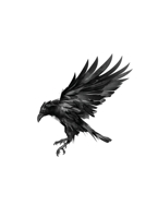 Murder of Crows 1964658071 Book Cover