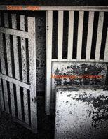 Messenger of Silence 1499279744 Book Cover