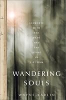 Wandering Souls: Journeys With the Dead and the Living in Viet Nam 1568587422 Book Cover