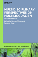 Multidisciplinary Perspectives on Multilingualism: The Fundamentals 1501525387 Book Cover