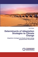 Determinants of Adaptation Strategies to Climate Change 620252331X Book Cover