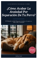 ¿Cómo acabar la ansiedad por separación de tu perro?: El Método LineUp Dog para enseñar a tu perro a estar solo y tranquilo (Método LineUp Dog - La ... para educar a tu perro) (Spanish Edition) B0CVVDCLL8 Book Cover