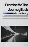 Promise Me The Journey Back 1717167985 Book Cover