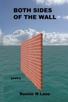 BOTH SIDES OF THE WALL B0GSJY3NKH Book Cover