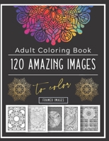 Adult Coloring Book: 120 Images With Mandalas, Patterns, Animals And Much More B083XM24MZ Book Cover