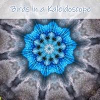 Birds in a Kaleidoscope B087SDLTQ3 Book Cover