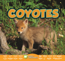 Coyotes 179114473X Book Cover