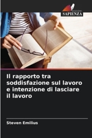 Il rapporto tra soddisfazione sul lavoro e intenzione di lasciare il lavoro (Italian Edition) 6204189026 Book Cover