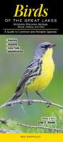 Birds of the Great Lakes: Il, In, Mi, MN, Oh, Wi: A Guide to Common & Notable Species 1936913798 Book Cover