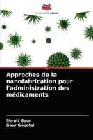 Approches de la nanofabrication pour l'administration des médicaments 6202739592 Book Cover