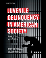 Juvenile Delinquency in American Society: Race, Class, and Politics 151651291X Book Cover