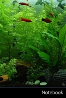 Notebook: Aquarium, Fische, Zierfische, Neonfisch Notizbuch / pers�nliches Tagebuch / Schreibheft / Logbuch / Planer / Vokabelheft / Notizen - 6 x 9 Zoll (15,24 x 22,86 cm, ca. DIN A5), 150 linierte S 1706682700 Book Cover