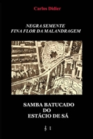 Negra semente, fina flor da malandragem: samba batucado do Estácio de Sá 6500514629 Book Cover