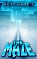 The Maze 142593675X Book Cover