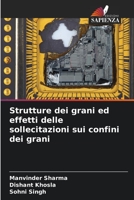 Strutture dei grani ed effetti delle sollecitazioni sui confini dei grani 6205652196 Book Cover