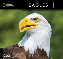 National Geographic Eagles 2021 Wall Calendar 1772184985 Book Cover