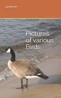 Pictures of various Birds B0F3KBBFRX Book Cover