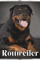 Rottweiler: Dog breed overview and guide B0C6BLTC5X Book Cover