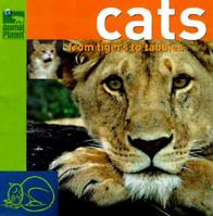 Cats: From Tigers to Tabbys (Animal Planet) 0517800039 Book Cover