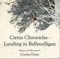 Landing in Ballynelligan 0956358918 Book Cover