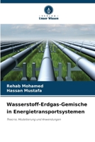 Wasserstoff-Erdgas-Gemische in Energietransportsystemen 6206719669 Book Cover