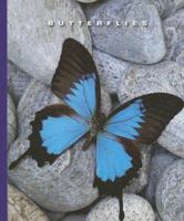 Butterflies (World of Insects) 1592968201 Book Cover