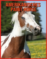 Amerikanisches Paint Horse: Erfahre mehr über Amerikanisches Paint Horse und freue dich an den farbenfrohen Bildern B08WP3LMNR Book Cover