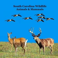 South Carolina Animals and Mammals Kids Wildlife Book: Great Wildlife Book about Animals and Mammals in South Carolina 1968228411 Book Cover