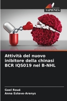 Attività del nuovo inibitore della chinasi BCR IQS019 nel B-NHL 6207368479 Book Cover