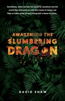 Awakening the Slumbering Dragon B0CTXDPKSC Book Cover
