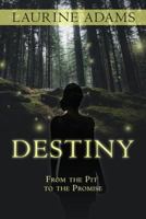 Destiny: From the Pit to the Promise 1944255001 Book Cover