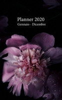 Planner 2020 Gennaio - Dicembre: Agenda mensile e settimanale A partire dal 1 gennaio al 31 dicembre 2020, copre i calendari per il 2019, 2020, 2021, ... (Copertura Peonie Rosa) (Italian Edition) 1674149174 Book Cover