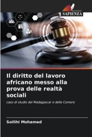 Il diritto del lavoro africano messo alla prova delle realtà sociali 620936652X Book Cover