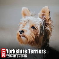 Calendar 2021 Yorkshire Terriers: Cute Yorkshire Terrier Photos Monthly Mini Calendar With Inspirational Quotes each Month B08C97X5TN Book Cover