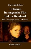 Getrennt / In sengender Glut / Doktor Reinhard: Drei Erzählungen aus der Gartenlaube (German Edition) 3743755696 Book Cover