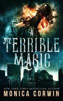 A Terrible Magic: a Paranormal Romance 1070723002 Book Cover
