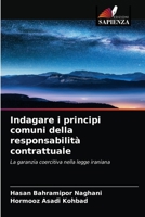 Indagare i principi comuni della responsabilit� contrattuale 6204037226 Book Cover