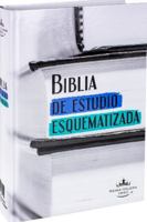Biblia De Estudio Esquematizada Reina Valera 1960 Td 1598778188 Book Cover
