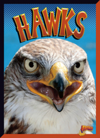 Hawks 1623105544 Book Cover