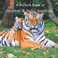 A Picture Book of Mother & Baby Animals: A Beautiful Picture Book for Seniors With Alzheimer’s or Dementia. A Great Gift for Elderly Parents and Grandparents! B08NX4NTSH Book Cover