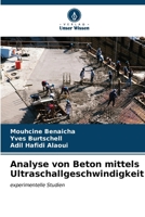 Analyse von Beton mittels Ultraschallgeschwindigkeit 6206879356 Book Cover