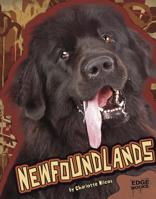 The Newfoundland (Wilcox, Charlotte. Learning About Dogs.) 073680160X Book Cover